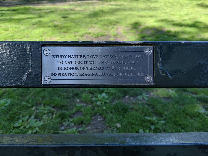 I saw this bench in Central Park