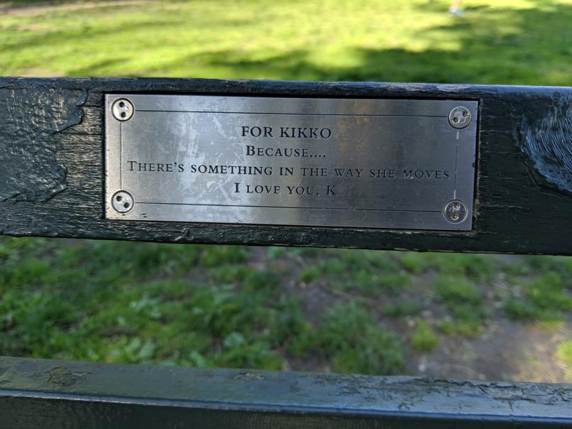 I saw this bench in Central Park