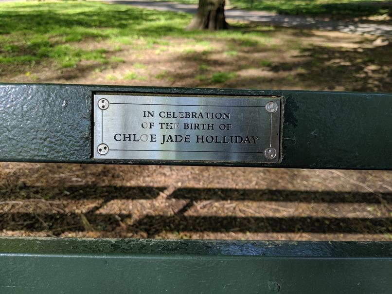 I saw this bench in Central Park