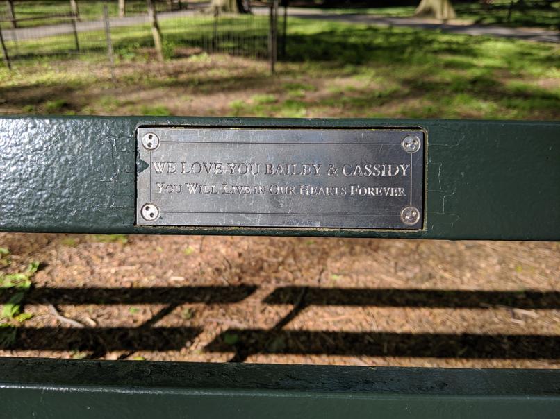 I saw this bench in Central Park