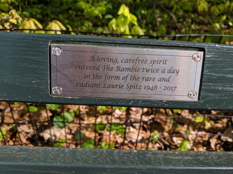 I saw this bench in Central Park