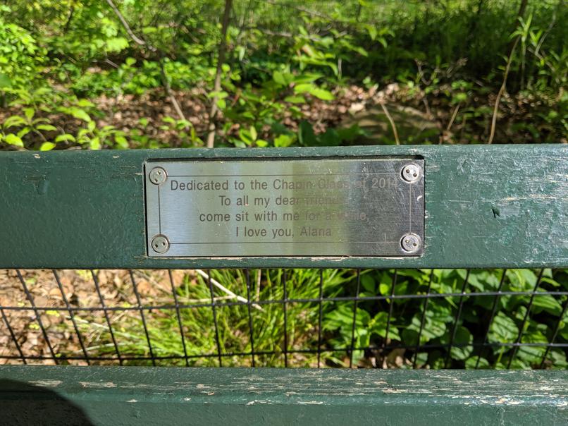 I saw this bench in Central Park