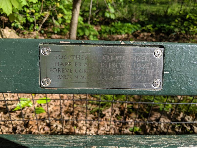 I saw this bench in Central Park