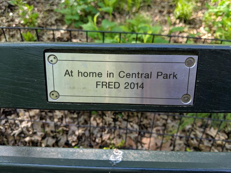 I saw this bench in Central Park