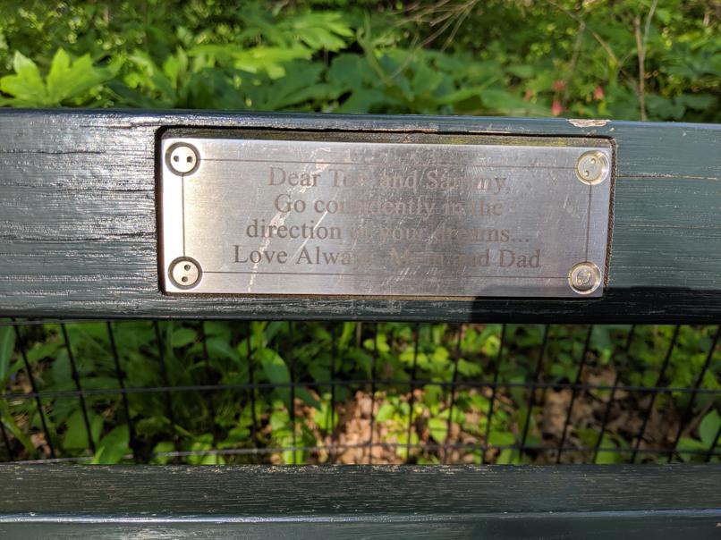 I saw this bench in Central Park