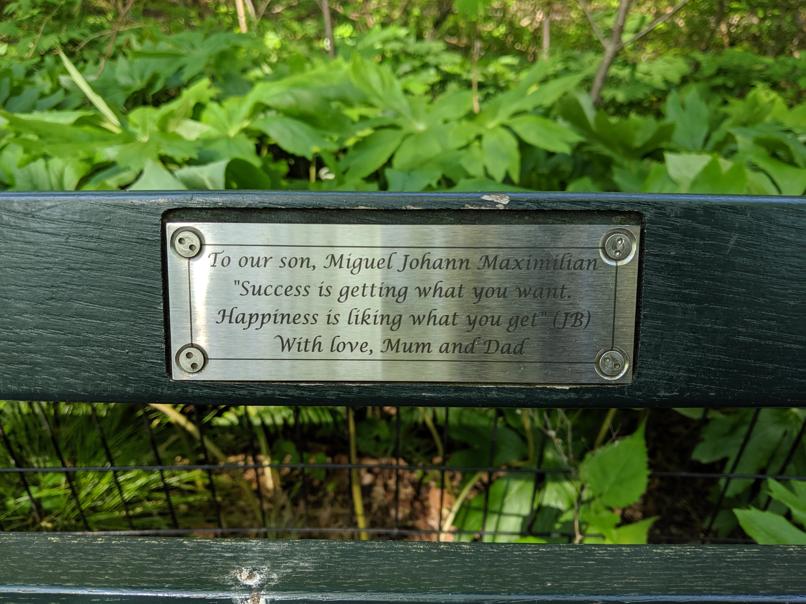 I saw this bench in Central Park