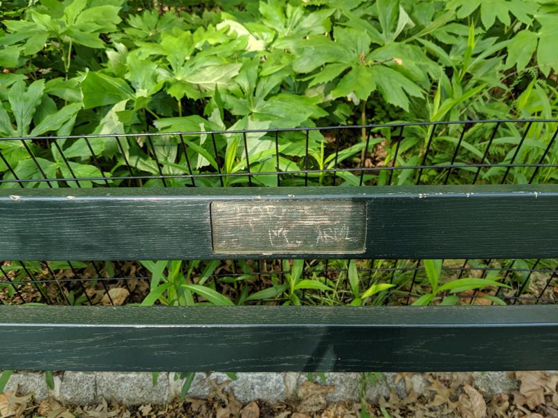 I saw this bench in Central Park