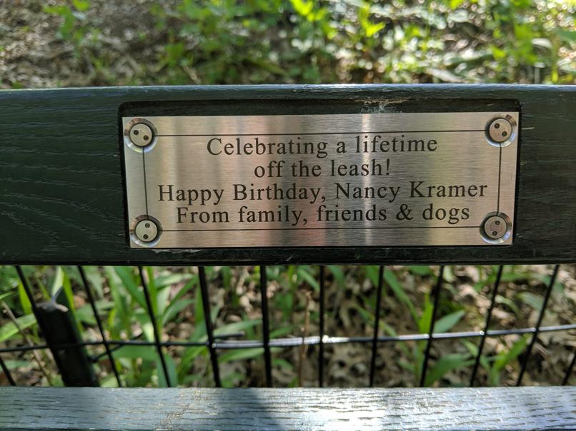 I saw this bench in Central Park