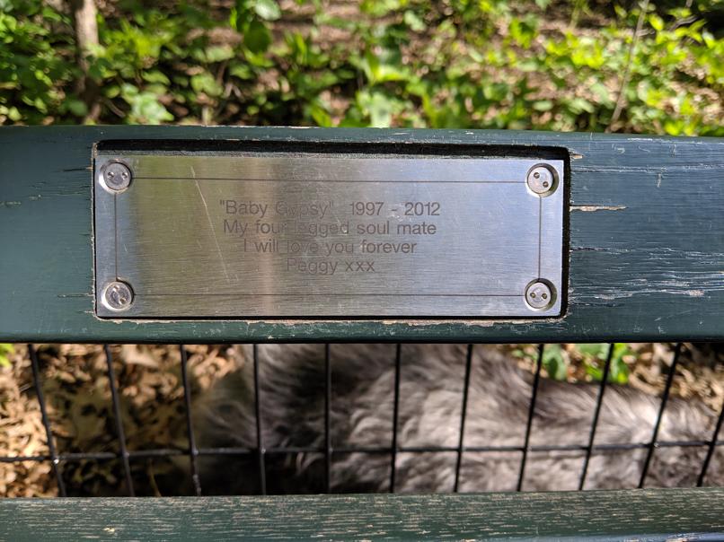 I saw this bench in Central Park