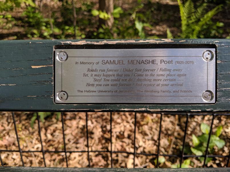 I saw this bench in Central Park