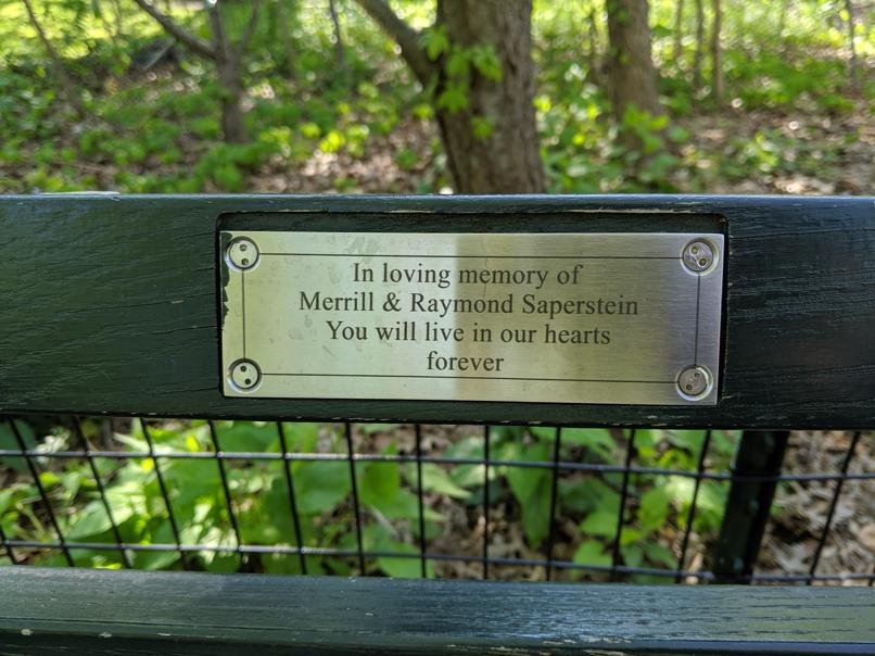 I saw this bench in Central Park