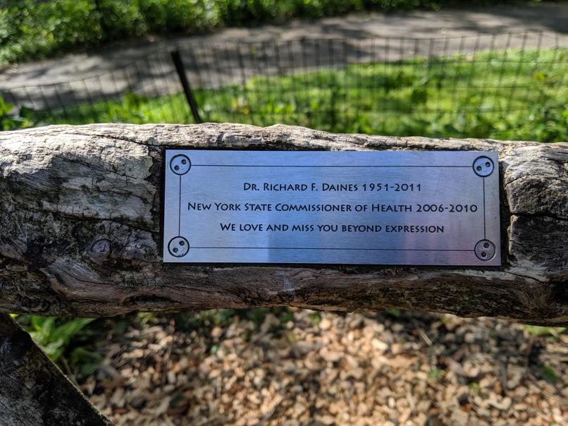 I saw this bench in Central Park