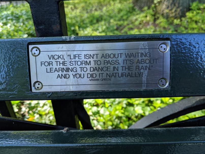 I saw this bench in Central Park