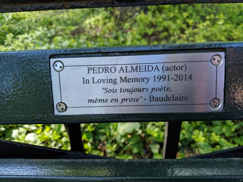 I saw this bench in Central Park