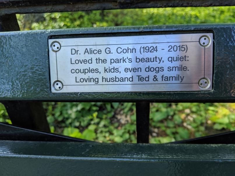 I saw this bench in Central Park