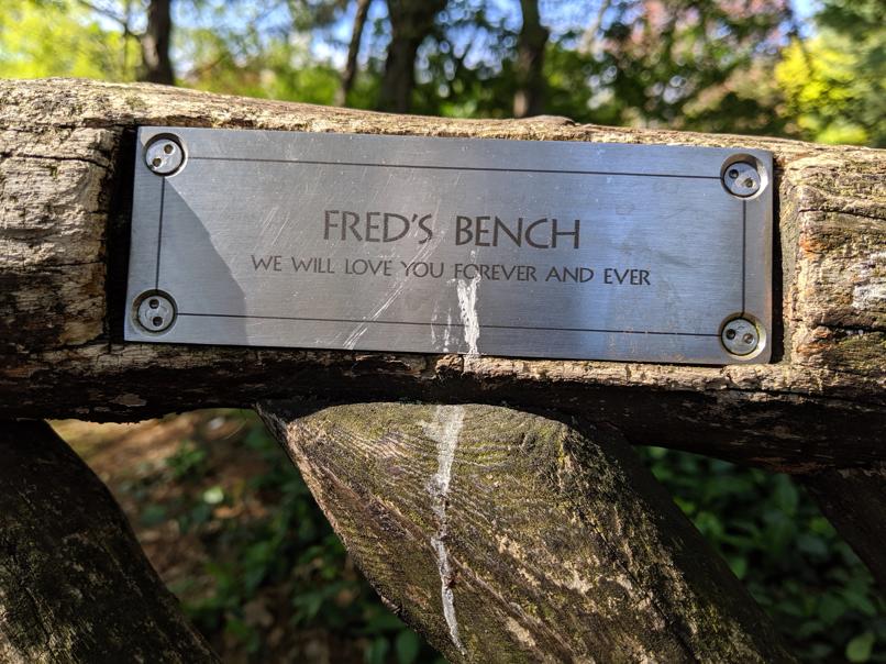 I saw this bench in Central Park