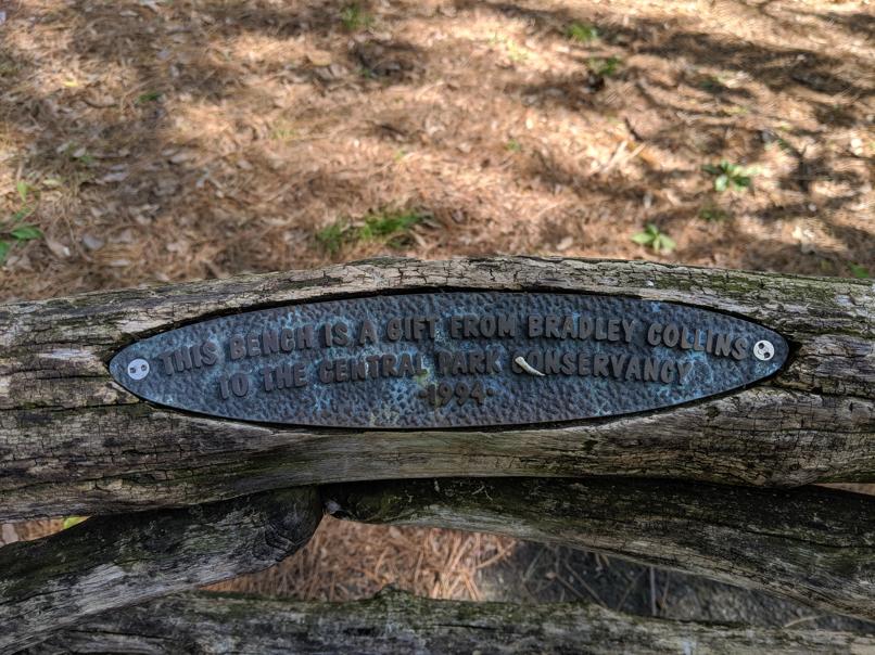 I saw this bench in Central Park