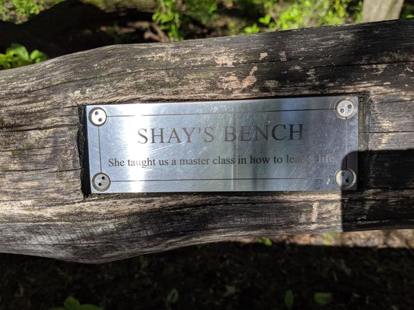 I saw this bench in Central Park