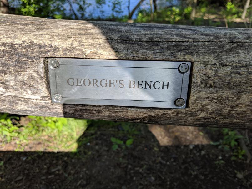 I saw this bench in Central Park