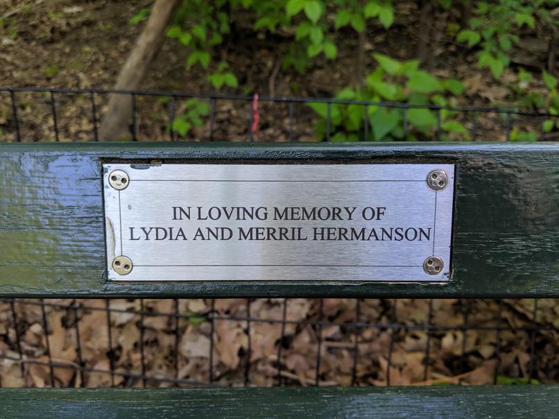 I saw this bench in Central Park