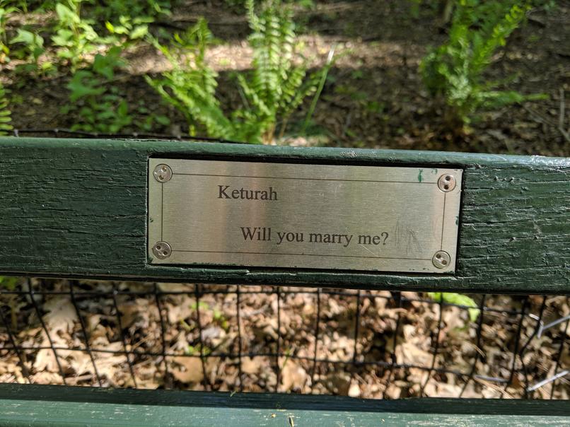 I saw this bench in Central Park