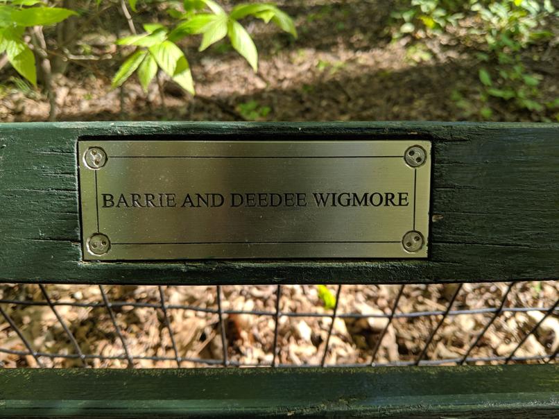 I saw this bench in Central Park