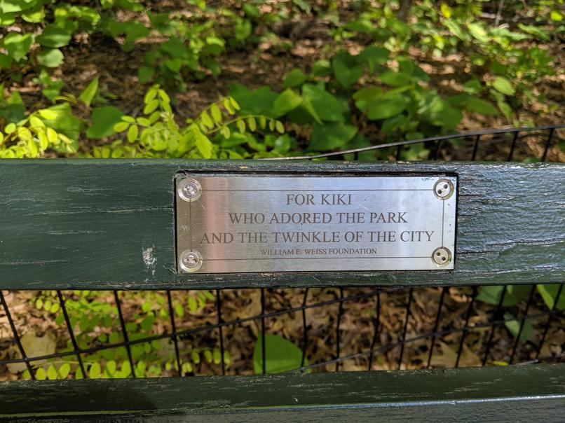 I saw this bench in Central Park