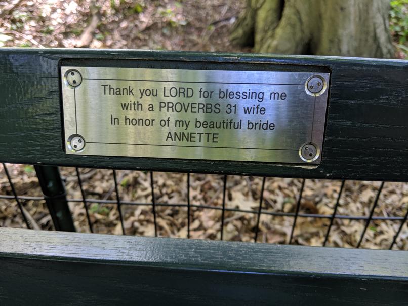 I saw this bench in Central Park