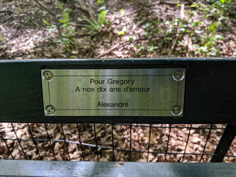 I saw this bench in Central Park