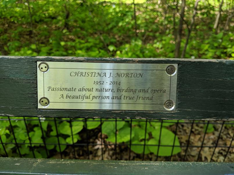 I saw this bench in Central Park