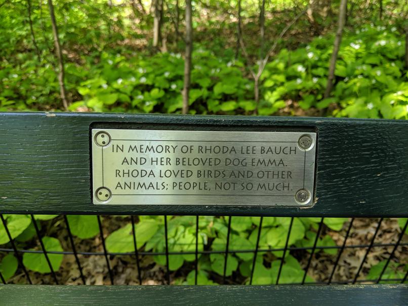 I saw this bench in Central Park