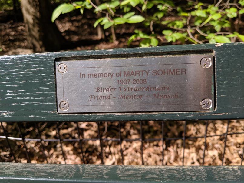 I saw this bench in Central Park