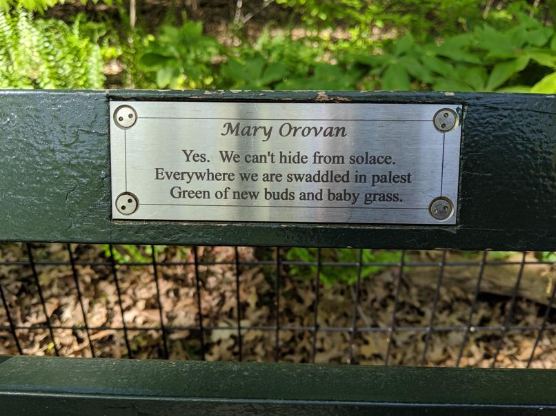 I saw this bench in Central Park