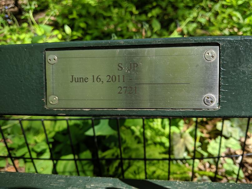 I saw this bench in Central Park