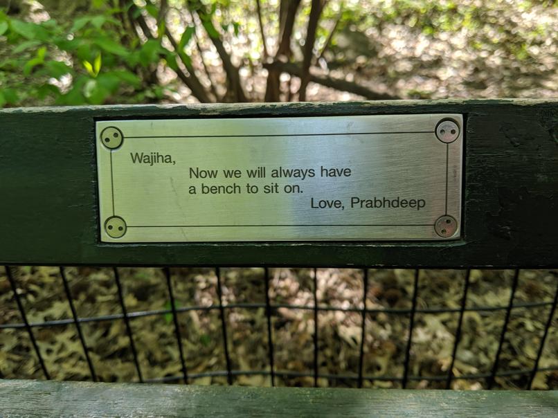 I saw this bench in Central Park