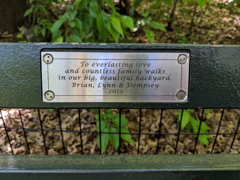 I saw this bench in Central Park