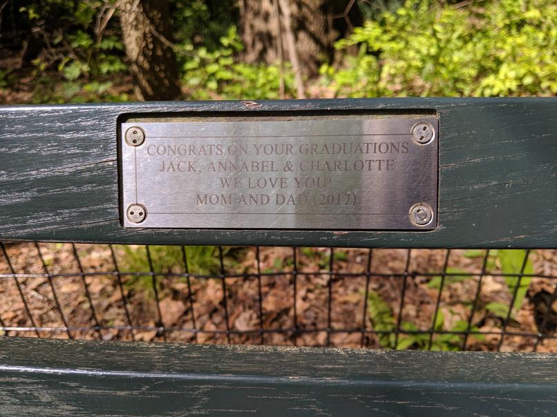 I saw this bench in Central Park