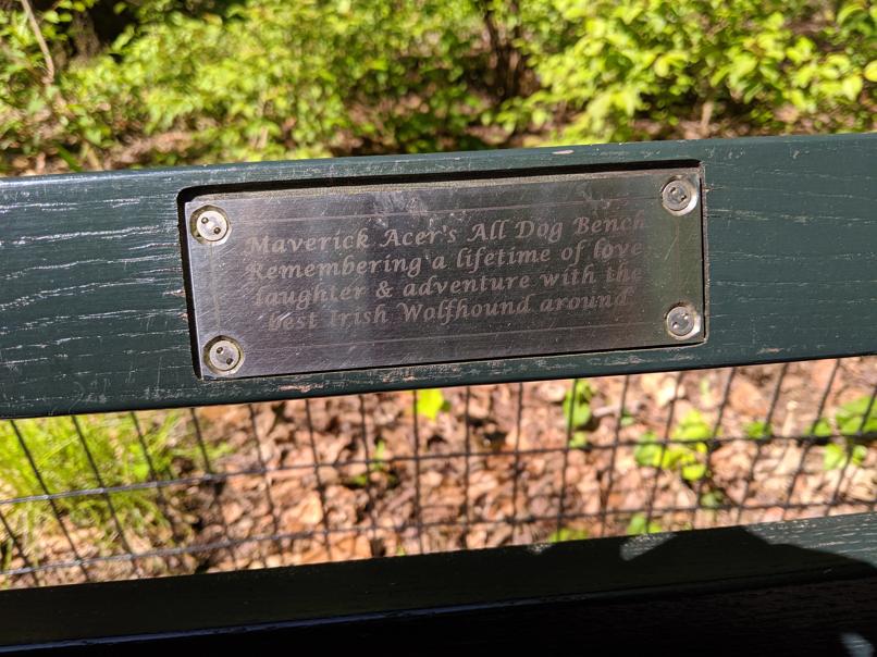 I saw this bench in Central Park