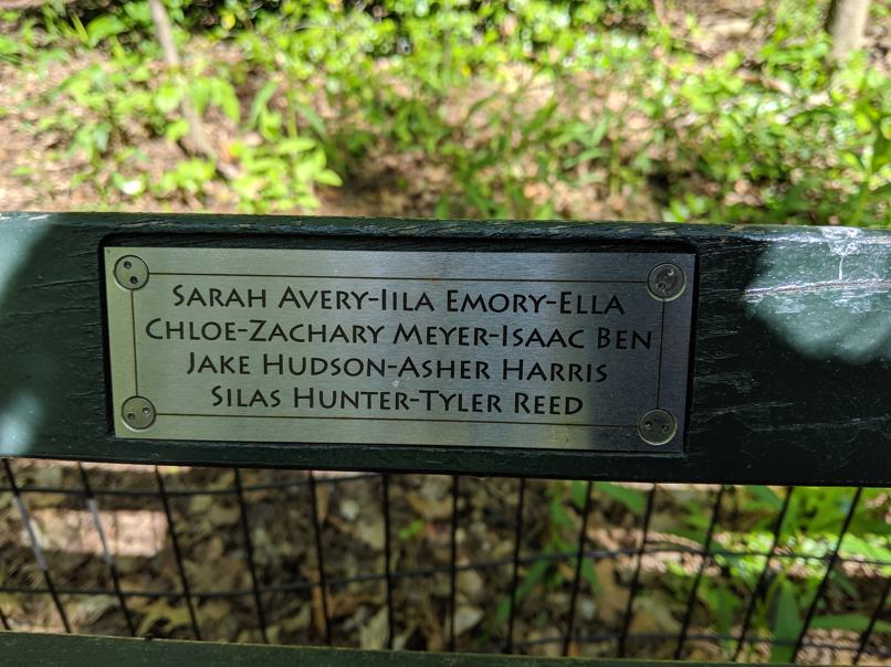 I saw this bench in Central Park