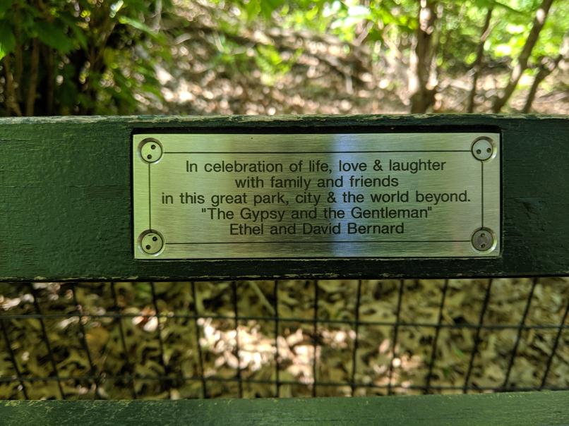 I saw this bench in Central Park