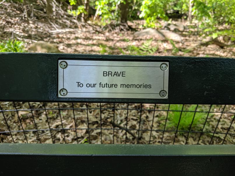 I saw this bench in Central Park