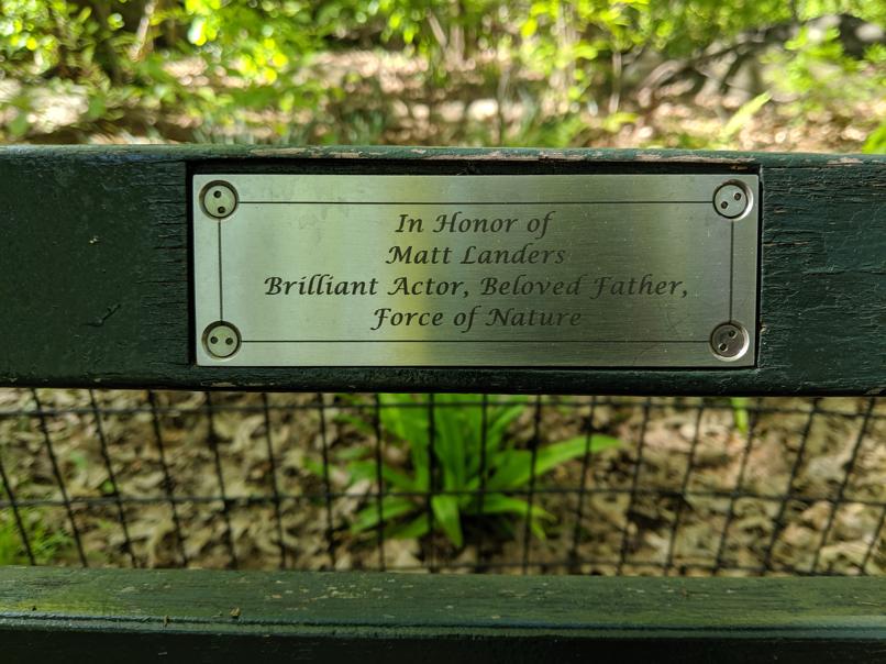 I saw this bench in Central Park