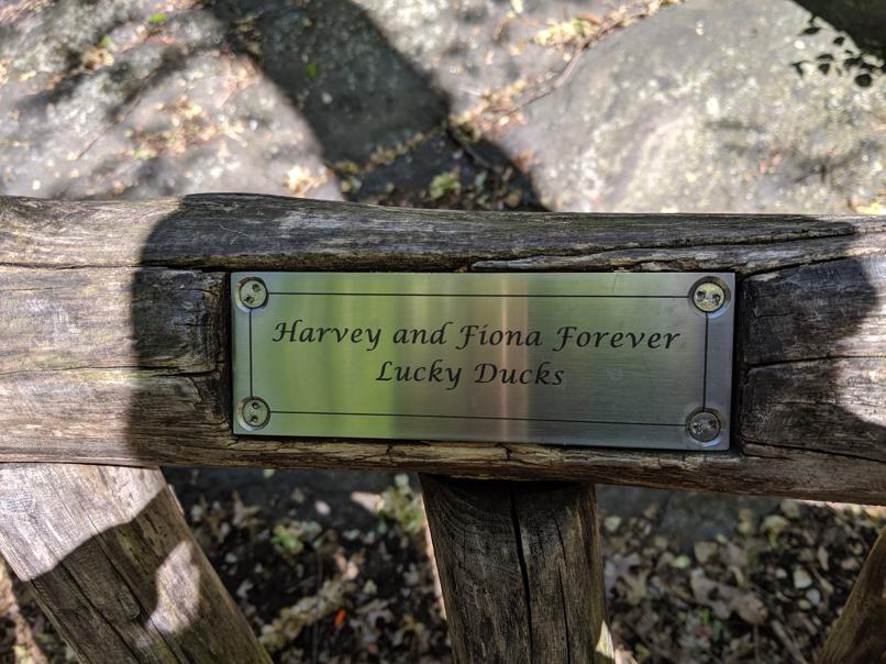 I saw this bench in Central Park