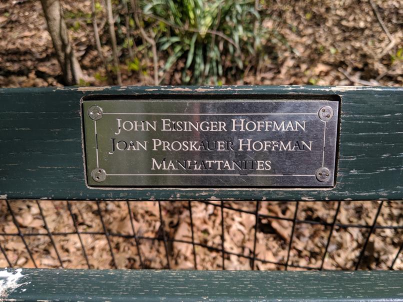 I saw this bench in Central Park