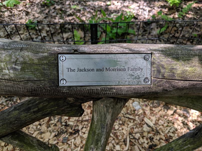 I saw this bench in Central Park