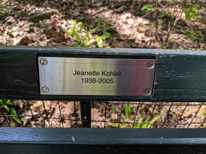 I saw this bench in Central Park