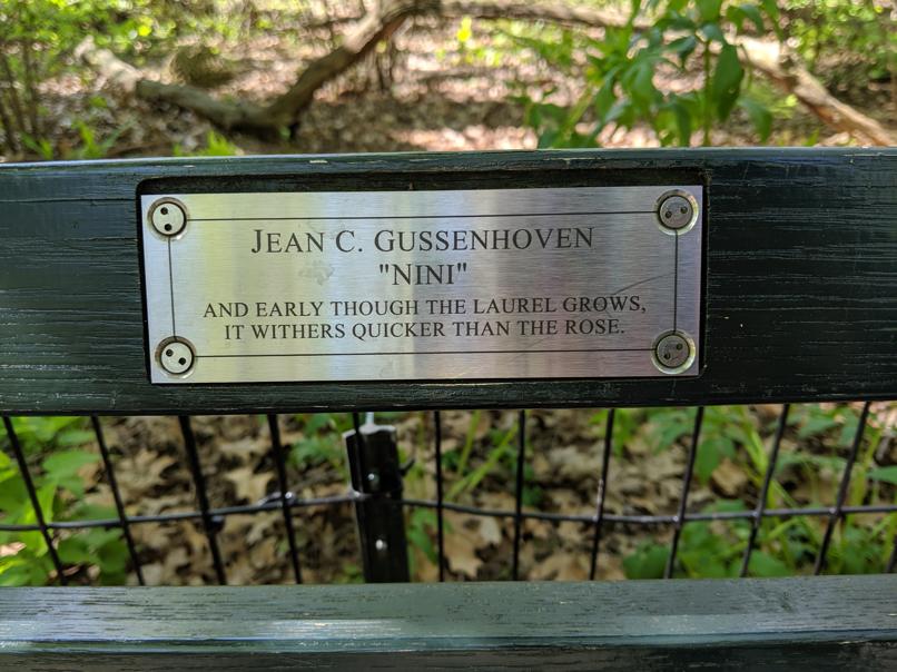 I saw this bench in Central Park