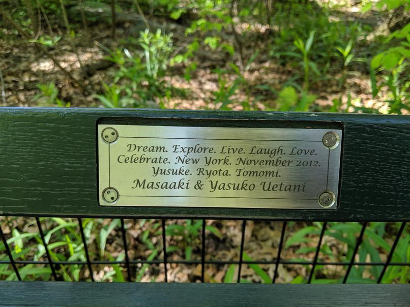 I saw this bench in Central Park