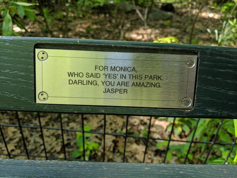 I saw this bench in Central Park