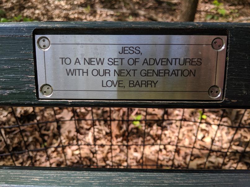 I saw this bench in Central Park